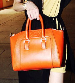 廠家直銷(xiāo) 新款鱷魚(yú)紋歐美外貿(mào)女包單肩包手提包女士包包批發(fā)箱包